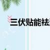 三伏貼能祛濕嗎（三伏貼可以去濕氣嗎）