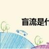 盲流是什么（盲流子是啥意思啊）