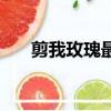剪我玫瑰最新小說（剪我玫瑰作品集）