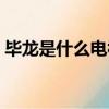 畢龍是什么電視劇人物（畢龍是什么電視劇）