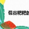 苞谷粑粑的做法大全竅門（苞谷粑粑）