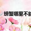 螃蟹哪里不能吃圖解高清圖（螃蟹哪里不能吃）