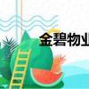 金碧物業現狀（金碧物業怎么樣）