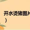 開水燙豬圖片猜成語（一壺開水燙豬打一成語）