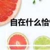 自在什么恰恰啼全詩（自在什么恰恰啼）