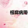 根腐病用什么藥治療最好（根腐病）