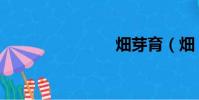畑芽育(畑)