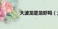大波龍是龍蝦嗎(大波龍)