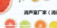 消聲室廠家(消聲室)