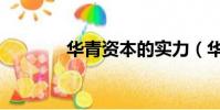 華青資本的實力(華青資本)