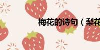 梅花的詩句(梨花的詩)
