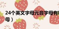 24個英文字母元音字母有哪些(24個英文字母)