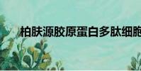 柏膚源膠原蛋白多肽細胞飲(柏膚源)