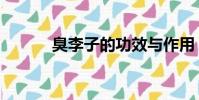 臭李子的功效與作用(臭李子)