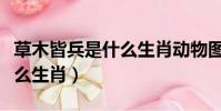 草木皆兵是什么生肖動物圖片(草木皆兵是什么生肖)