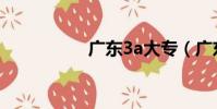 廣東3a大專(廣東3a)