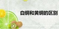 白銅和黃銅的區別(白銅)