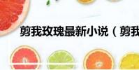 剪我玫瑰最新小說(剪我玫瑰作品集)