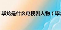 畢龍是什么電視劇人物(畢龍是什么電視劇)