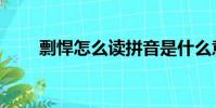 剽悍怎么讀拼音是什么意思(剽悍)