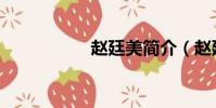 趙廷美簡介(趙廷美)