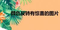 顏色反轉有驚喜的圖片(顏色反轉)