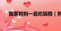 我家狗狗一直吃貓糧(狗能吃貓糧嗎)
