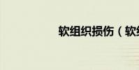 軟組織損傷(軟組織)