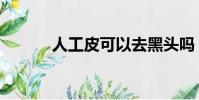 人工皮可以去黑頭嗎(人工皮)