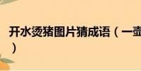 開水燙豬圖片猜成語(一壺開水燙豬打一成語)