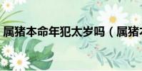 屬豬本命年犯太歲嗎(屬豬本命年能結婚嗎)
