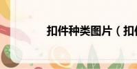 扣件種類圖片(扣件種類)