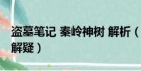 盜墓筆記 秦嶺神樹 解析(盜墓筆記秦嶺神樹解疑)