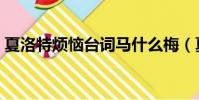 夏洛特煩惱臺詞馬什么梅(夏洛特煩惱臺詞)