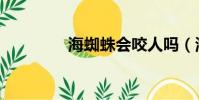 海蜘蛛會咬人嗎(海蜘蛛)
