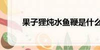 果子貍燉水魚鞭是什么(果子貍)