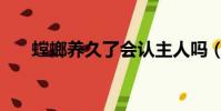 螳螂養久了會認主人嗎(螳螂咬人嗎)