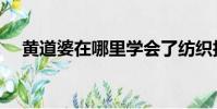 黃道婆在哪里學會了紡織技術(黃道婆)