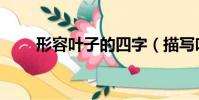 形容葉子的四字(描寫葉子的詞語)