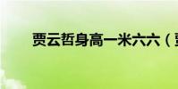 賈云哲身高一米六六(賈云哲身高)
