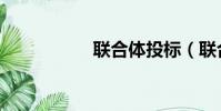 聯合體投標(聯合體)