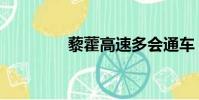 藜藿高速多會通車(藜藿)
