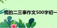 我的二三事作文500字初一(我的二三事)
