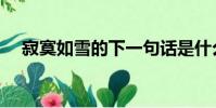 寂寞如雪的下一句話是什么(寂寞如雪)