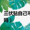 三伏貼自己可以貼嗎視頻（三伏貼自己可以貼嗎）