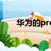 華為的pro是啥（華為pro什么意思）