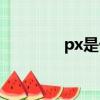px是什么單位（px是什么）