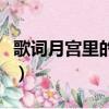 歌詞月宮里的美是什么歌（月宮里的美什么歌）