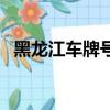 黑龍江車牌號是什么開頭（黑龍江車牌號）