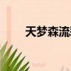 天夢森流彩早期畫作（天夢森流彩）